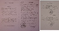 0000-0016-ml.jpg