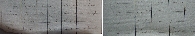 Liste des contrats
